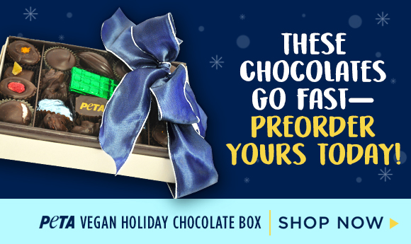 Holiday Chocolate Box