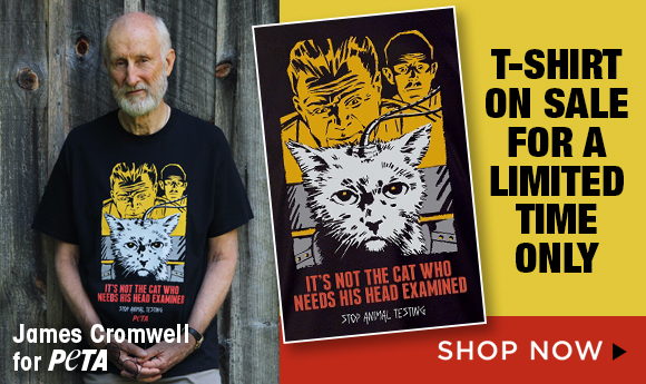 It's not the cat who needs his head examined. Stop animal testing. T-shirt on sale for a limited time only.