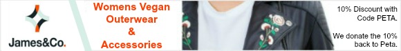 banner 2