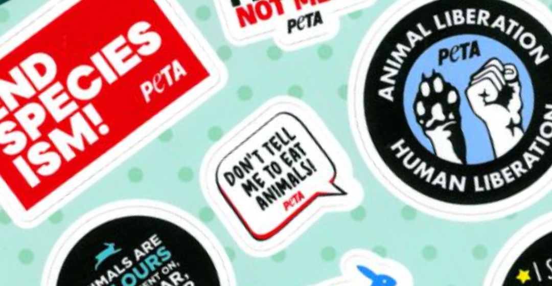 PETA Business Friends: Partner Update