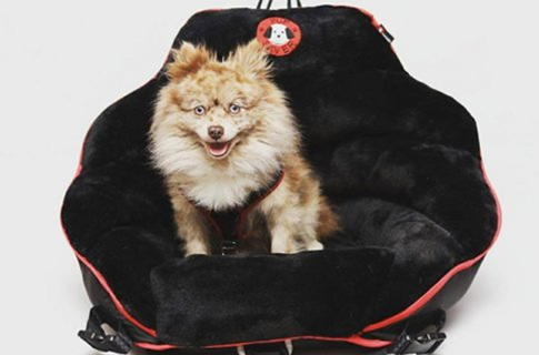PupSaver