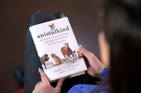 Animalkind book