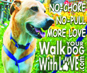 Walk Your Dog With Love