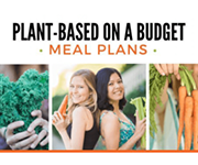 Plant-Based on a Budget