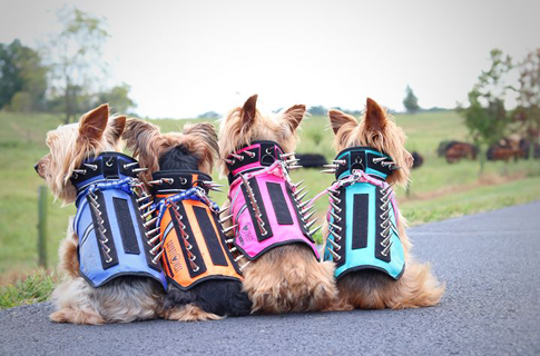 CoyoteVest