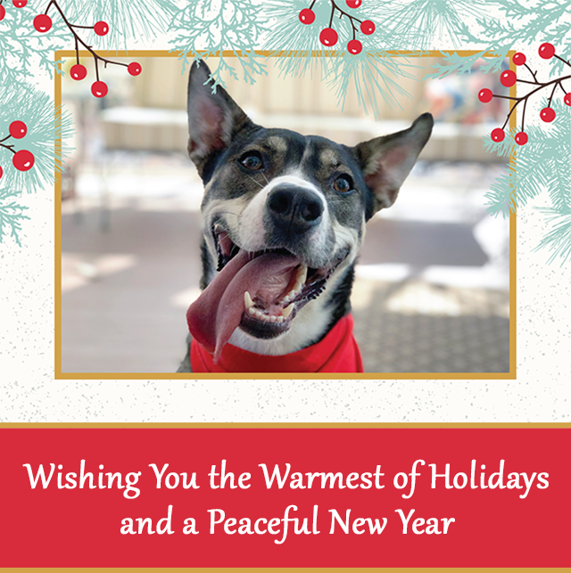 Wishing You the Warmest of Holidays and a Peaceful New Year