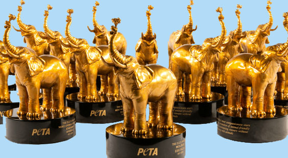 see who won in PETA's Elly Awards