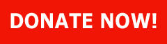 Donate Now!