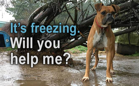 It's freezing. Will you help me?