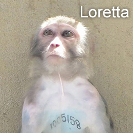 photo of Loretta