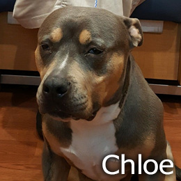 Photo of Chloe
