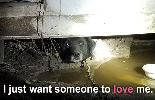 I just want someone to love me