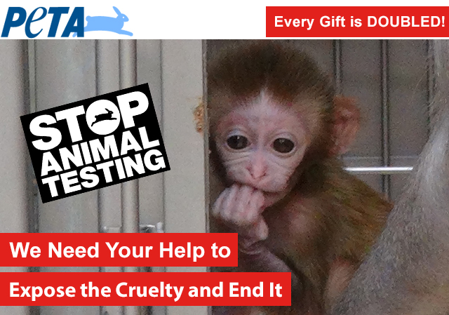 Join the 'Stop Animal Testing' Challenge!