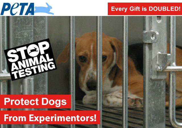 Protect Dogs From Experimenters!