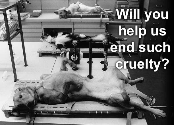 Will you help us end such cruelty?