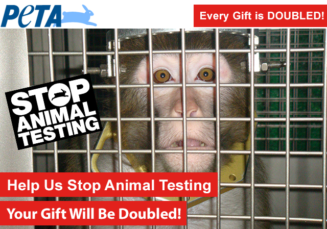 Help us stop animal testing—your gift will be doubled!