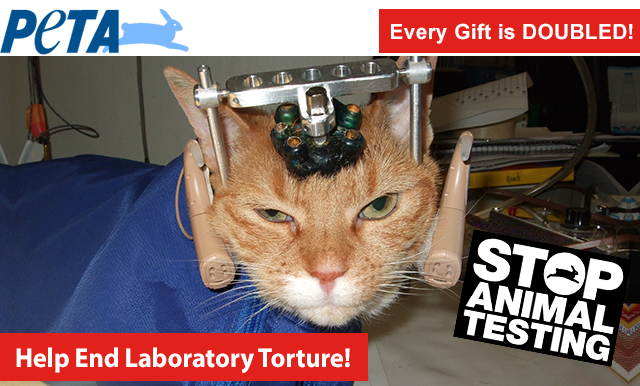 Help end laboratory torture!