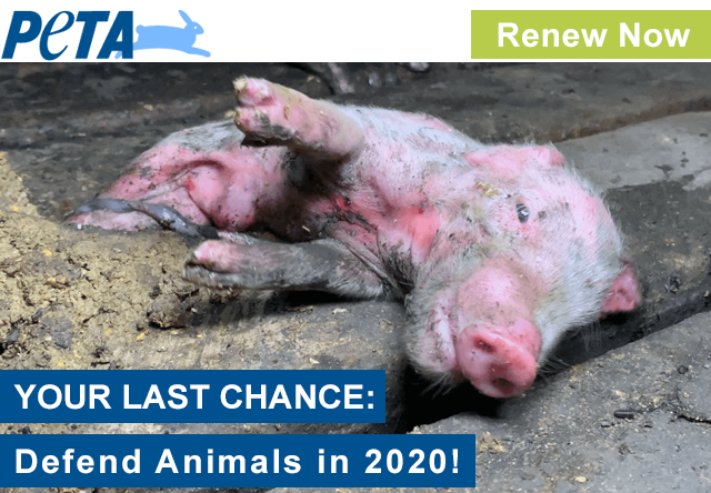 PETA