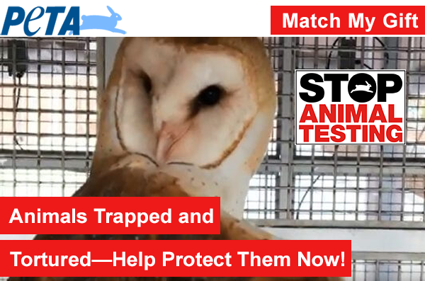 Animals Trapped and Tortured—Help Protect Them Now!