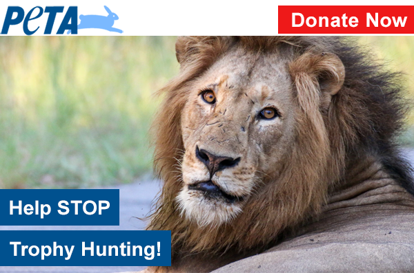 HELP: Cowardly trophy hunters are killing wild animals