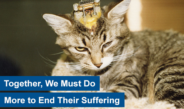 Together, We Must Do More to End Their Suffering