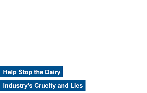 Here’s how you’re helping to replace the use of rabbits in tests