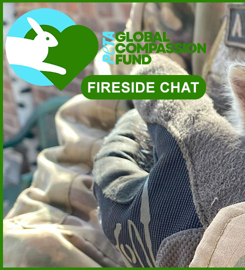 GCF Fireside Chat