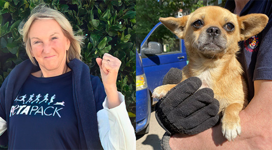 Ingrid Newkirk wearing PETA Pack shirt next to image of a dog