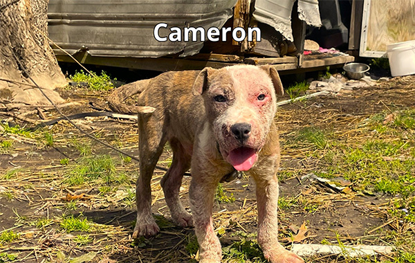 Cameron in front of a broken shed.