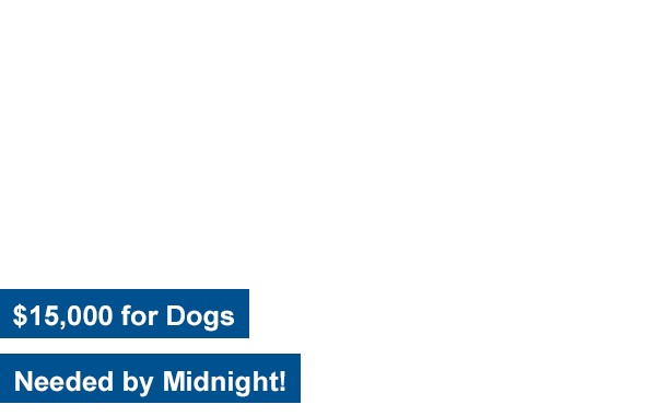 $15,000 for Dogs Needed by Midnight!