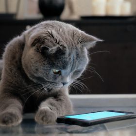 Join by Phone