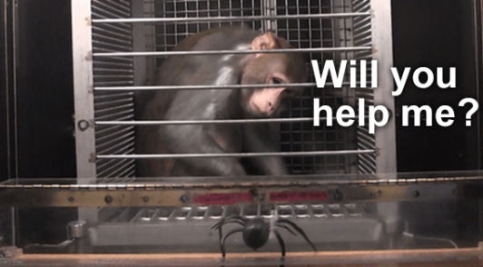 Will you help me.