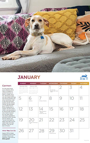 Order Your FREE 2025 ‘Rescued!’ Calendar | PETA