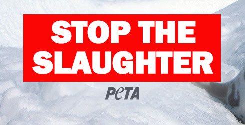 Stop the Seal Slaughter