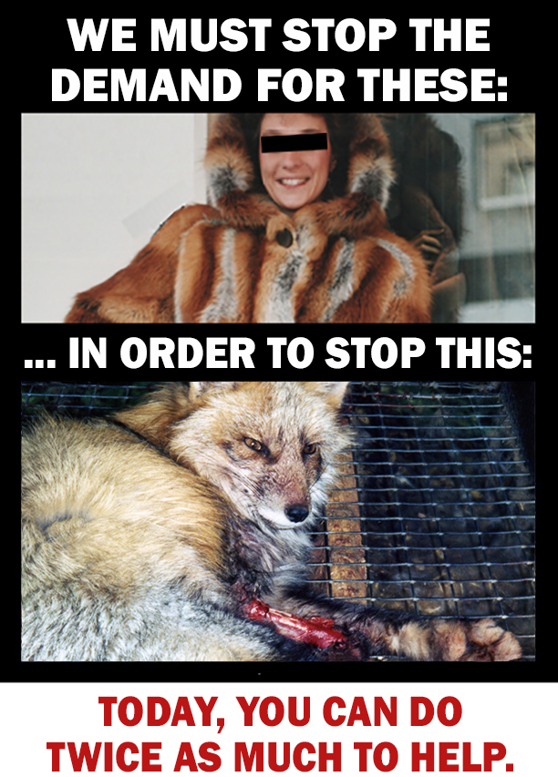 Photo of woman in fur coat and wounded fox in a cage