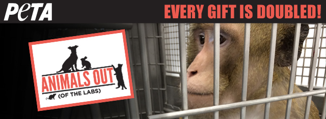Donate today for animals trapped in laboratories and your gift will double