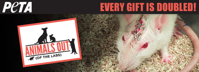 Double your impact on PETA's groundbreaking work to end animal experiments.