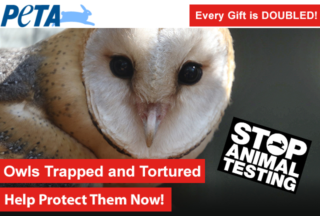 Help Stop Animal Testing!