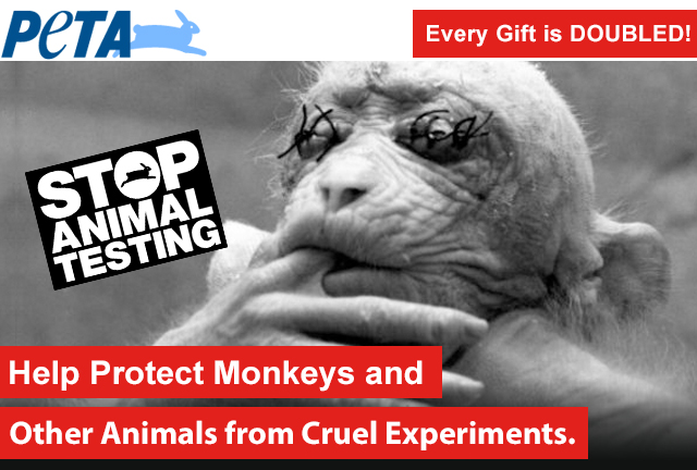 Help protect monkeys and other animals from cruel experiments.