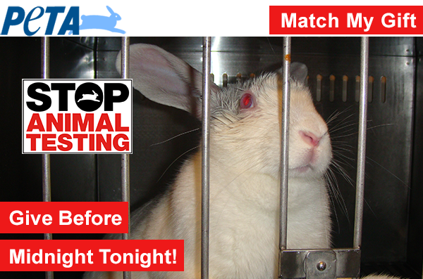 Just hours left to help stop animal testing