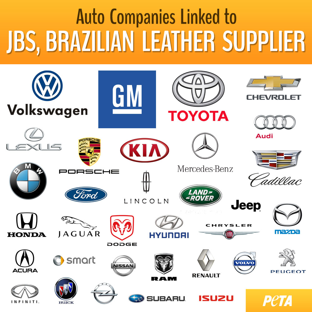 jbs brands collage