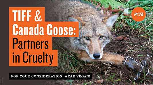 TIFF & Canada Goose: Partners in Cruelty