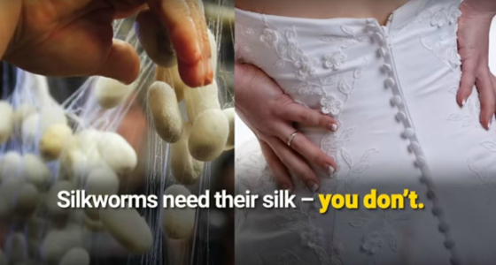 how silk is made