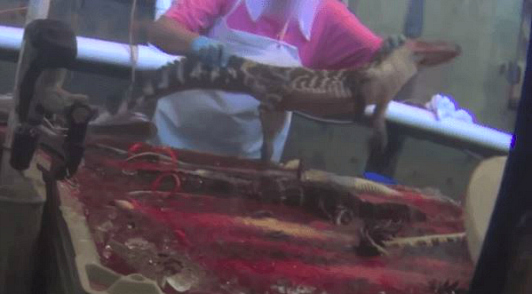 how alligator skin accessories are made