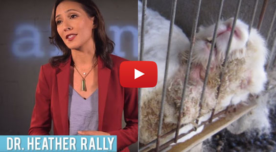 Watch this episode of PETA Reveals