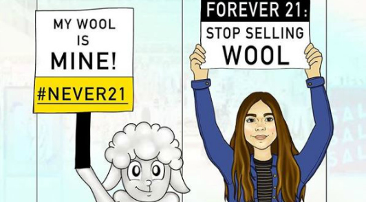 learn about the cruel wool industry