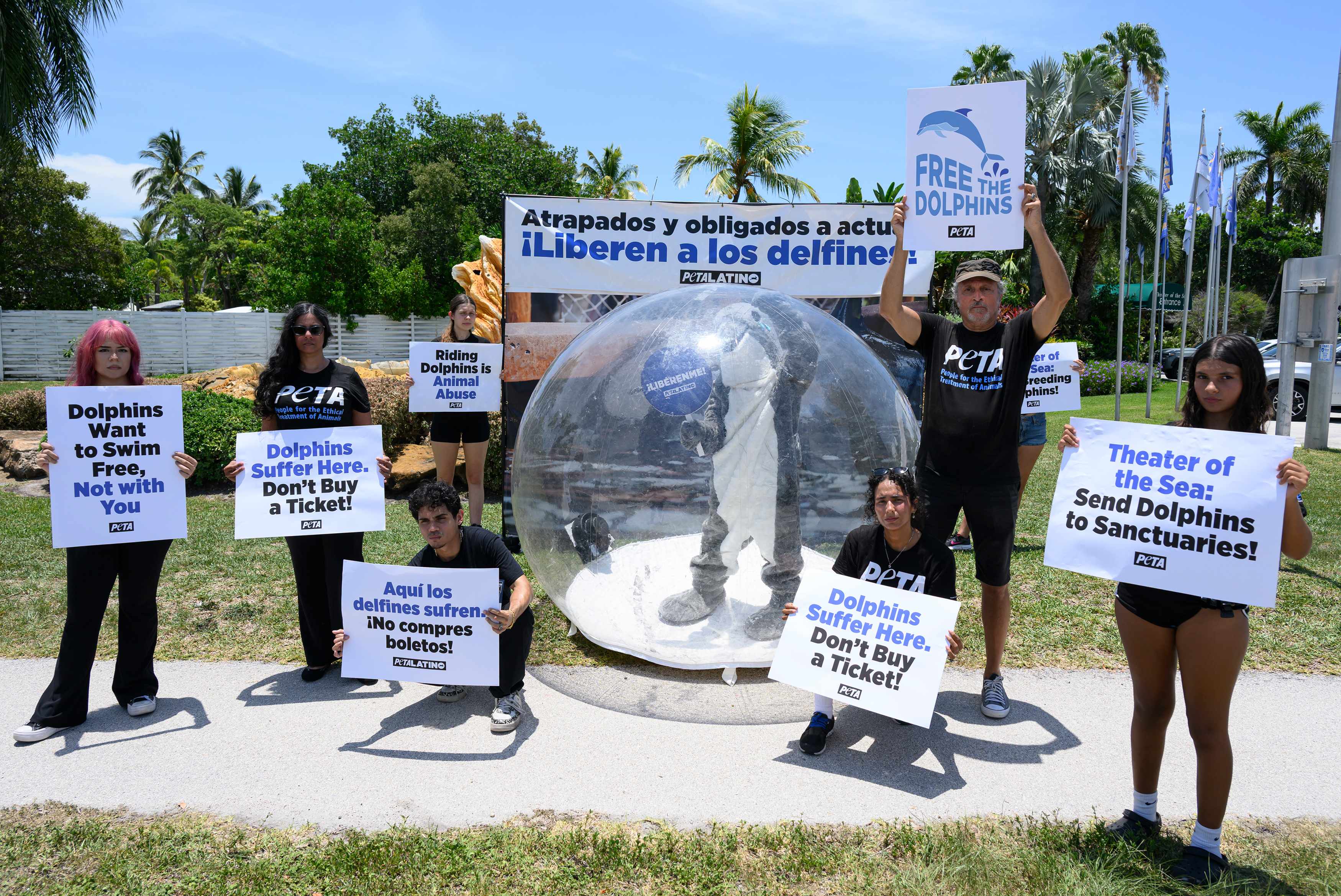 Action for Dolphins demonstration.
