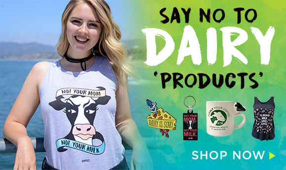Say No to Dairy Products