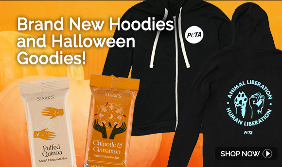 Brand New Hoodies and Halloween Goodies!