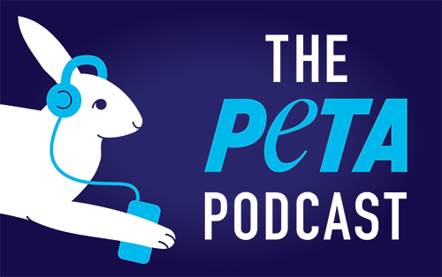 The PETA Podcast